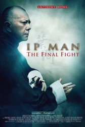 cover Ip Man: The Final Fight